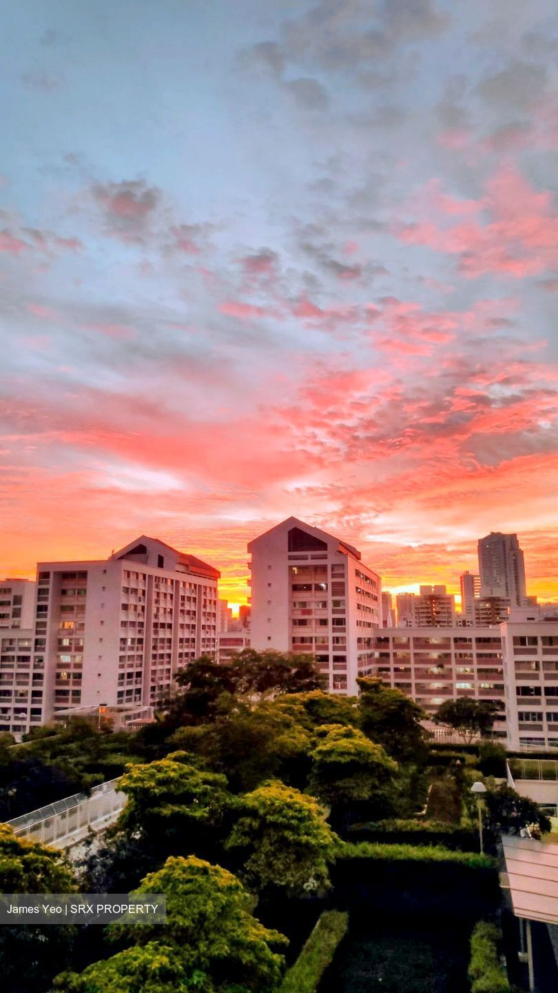Blk 113C Mcnair Towers (Kallang/Whampoa), HDB 3 Rooms #546249801